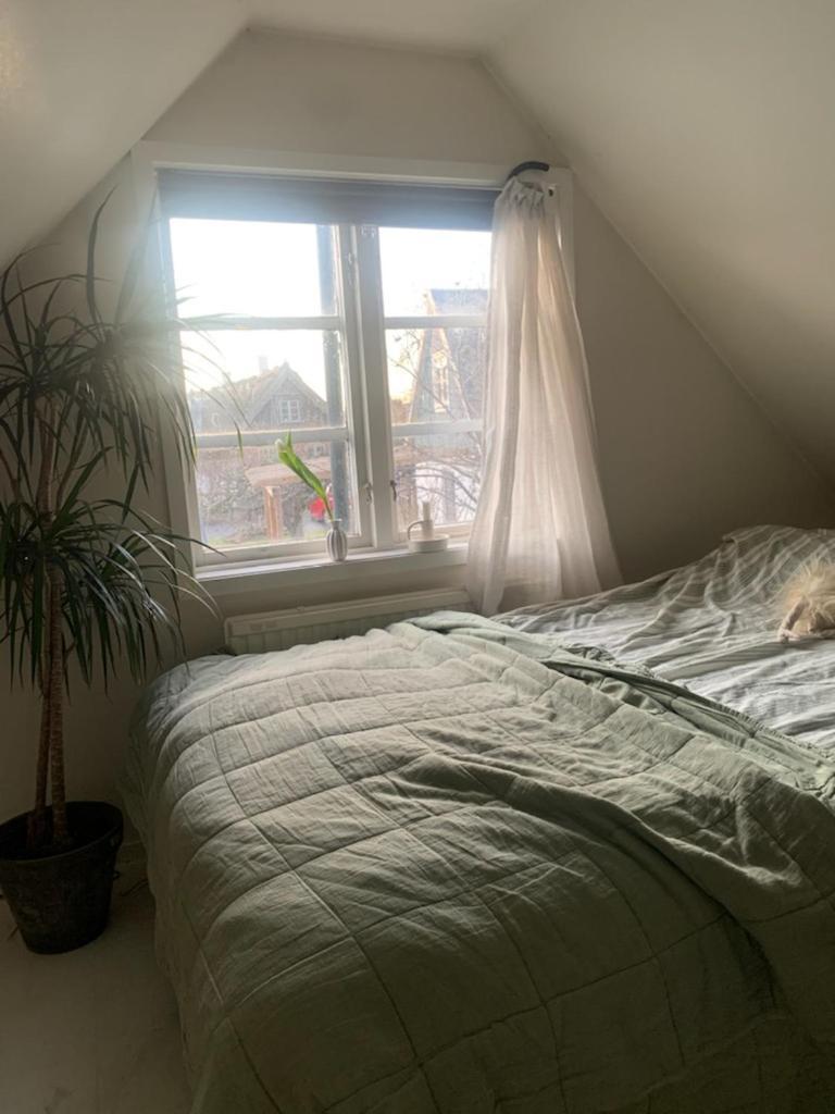 Onslunda Millans Dockhus 빌라 외부 사진